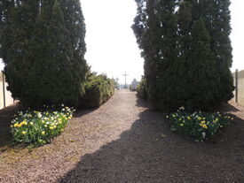 L'allée du cimetière de Fontaine-lès-croisilles